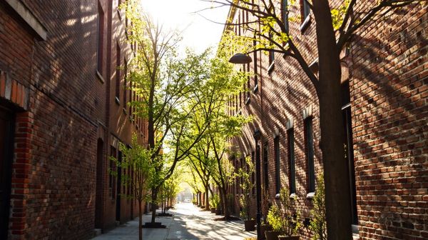 Top 5 raisons d'explorer Ahuntsic-Cartierville à Montréal